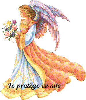 * N'abandonne jamais... * 